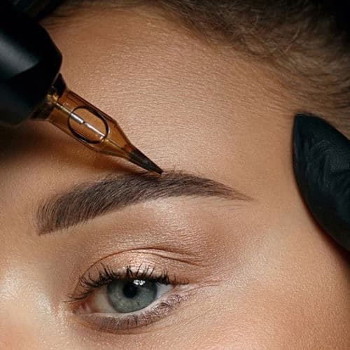 Full Eyebrow Package + maintenance at Divine Tattooing & Cosmetics in Gladstone, OR